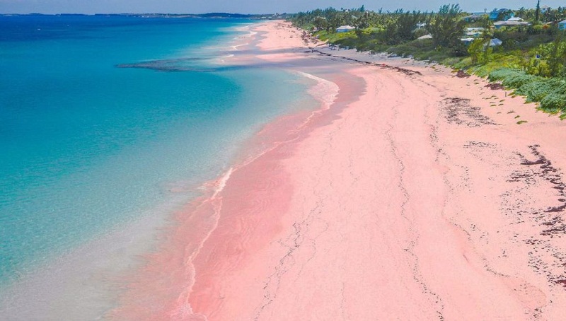 Cantiknya Pantai Pink di Nusa Tenggara Barat Trippers.id