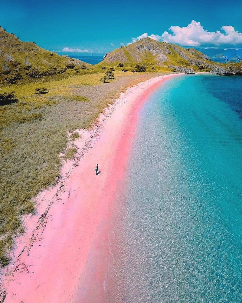 Cantiknya Pantai Pink di Nusa Tenggara Barat Trippers.id