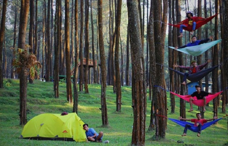 5 Destinasi Wisata di Tegal yang Hits Trippers id 5 Destinasi Wisata di Tegal yang Hits Trippers id